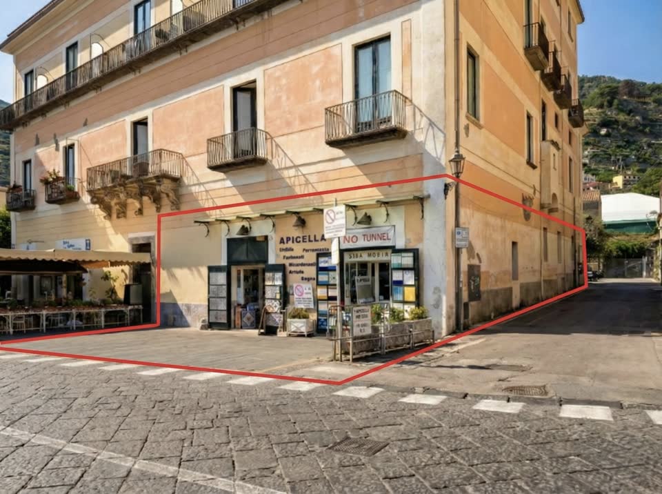 Inquadramento indicativo delle porzioni oggetto di vendita